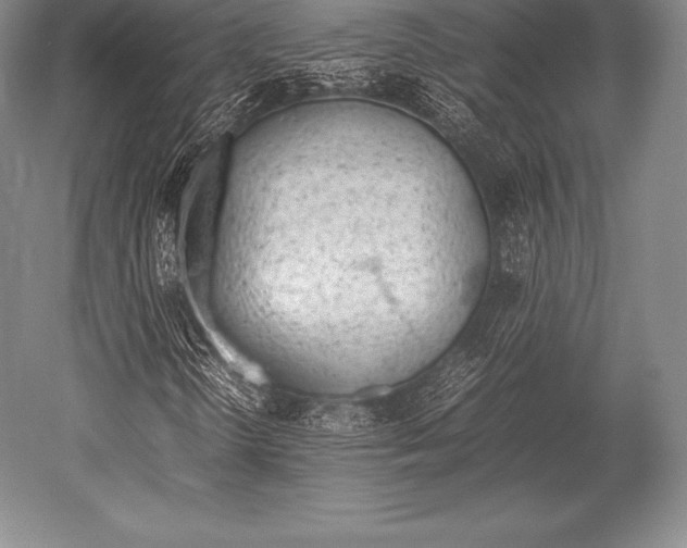 X0000052611298200507081836