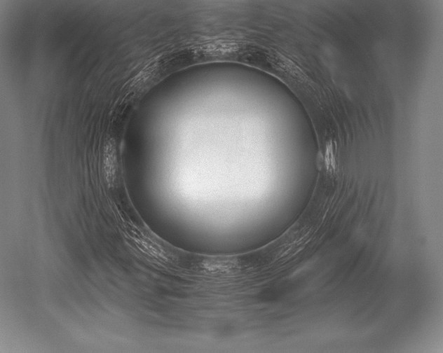 X0000052611299200507081836