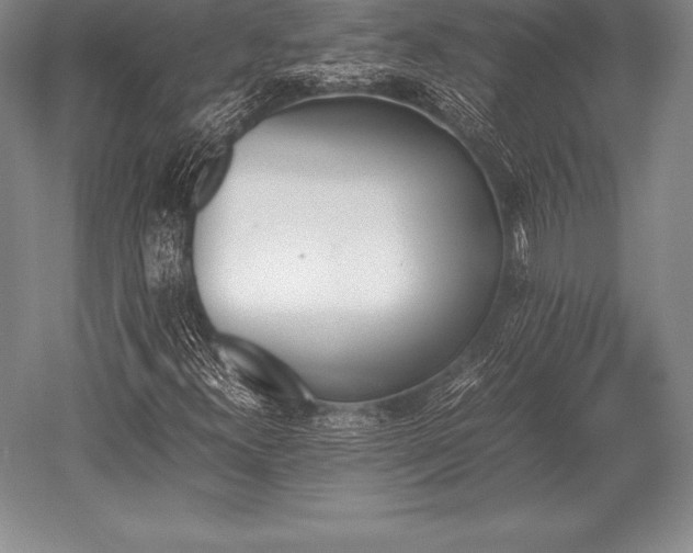 X0000052611300200507081836