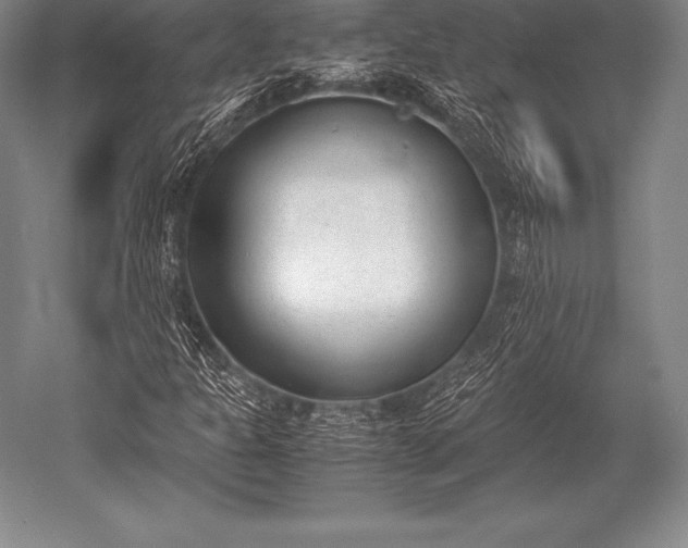 X0000052611301200507081836