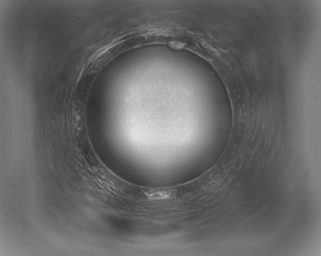 X0000052611303200507081836