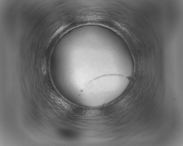 X0000052611306200507081836