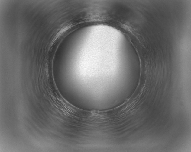 X0000052611307200507081836