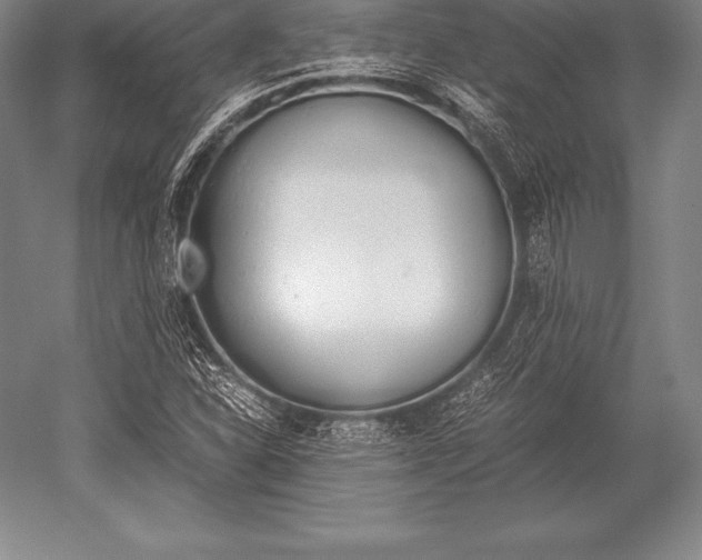 X0000052611310200507081836