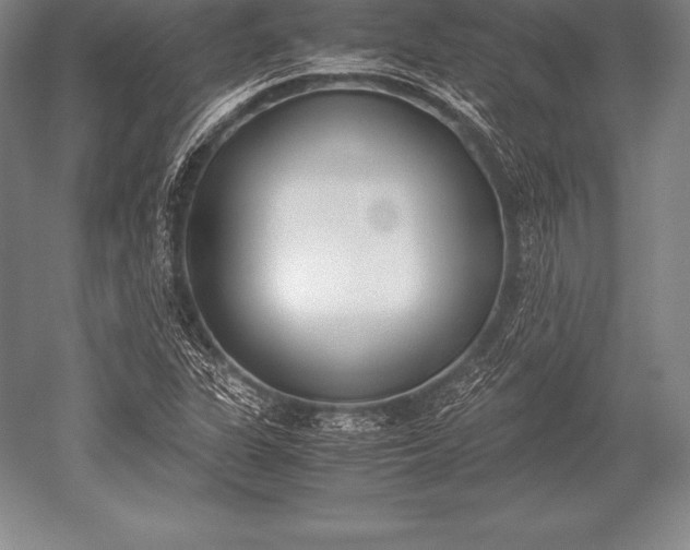 X0000052611311200507081836