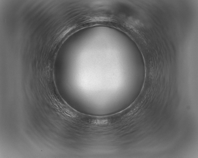 X0000052611313200507081836