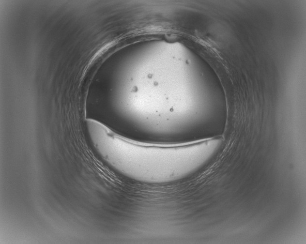 X0000052611314200507081836