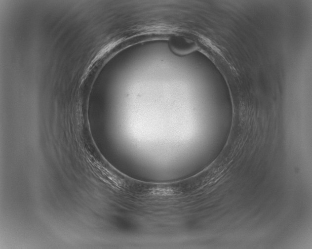 X0000052611315200507081836