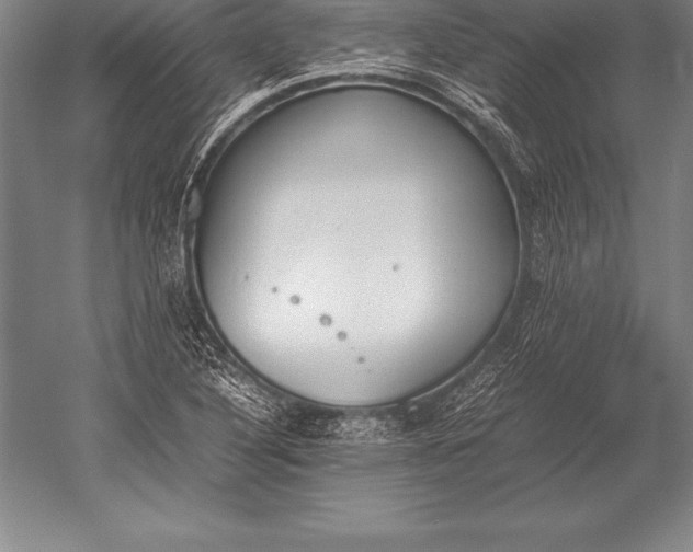 X0000052611316200507081836