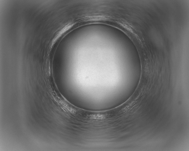 X0000052611317200507081836