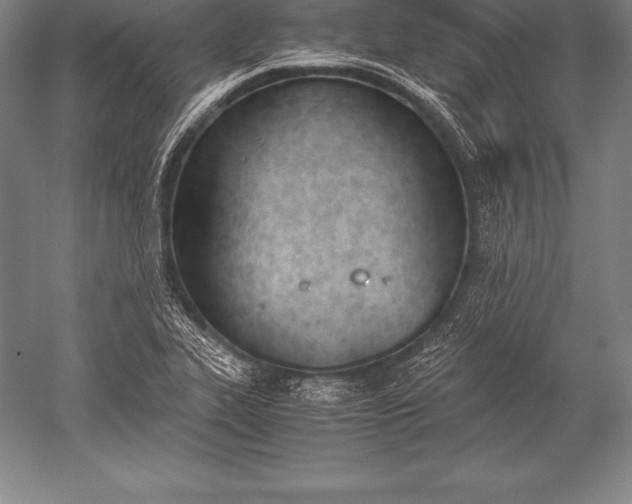 X0000052611319200507081836