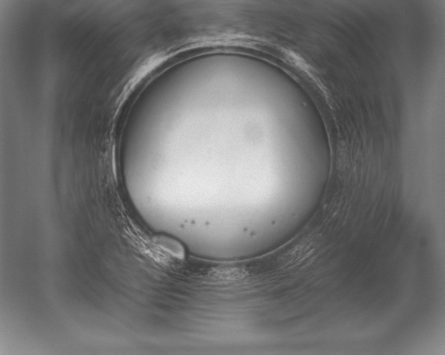 X0000052611320200507081836