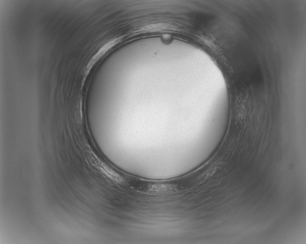 X0000052611322200507081836