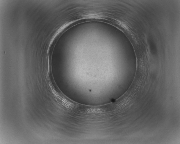 X0000052611323200507081836