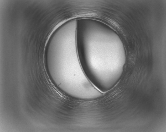 X0000052611324200507081836