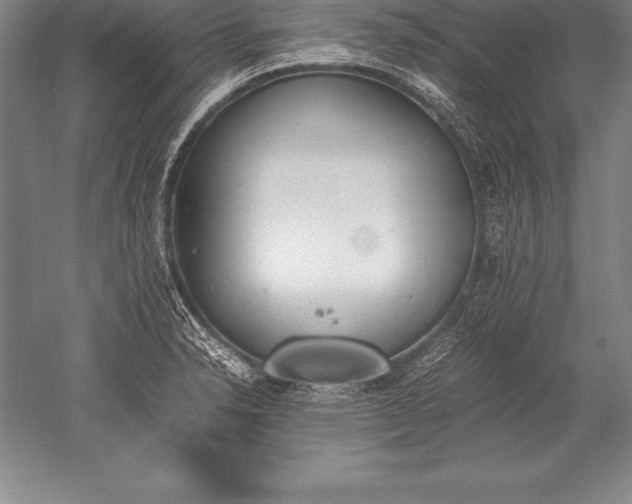 X0000052611326200507081836