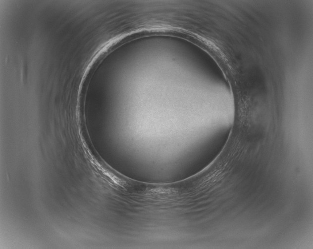 X0000052611327200507081836