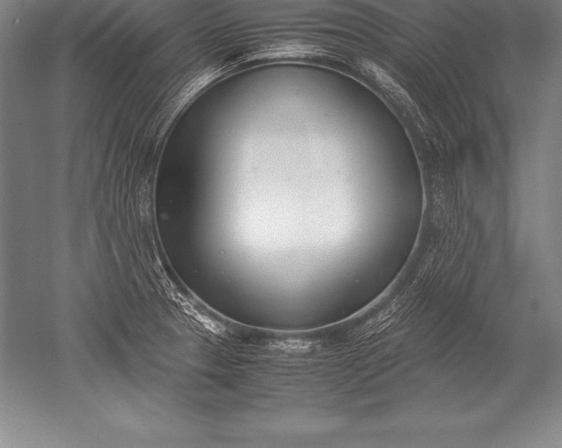 X0000052611329200507081836