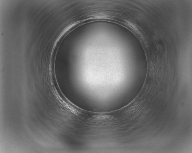 X0000052611331200507081836