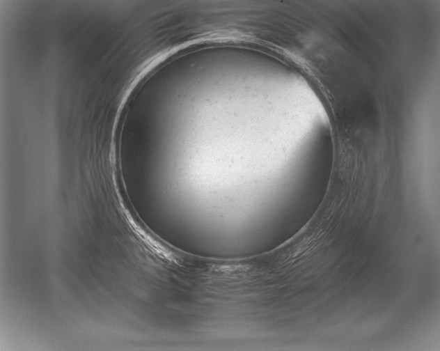 X0000052611335200507081836