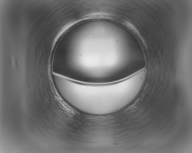 X0000052611336200507081836