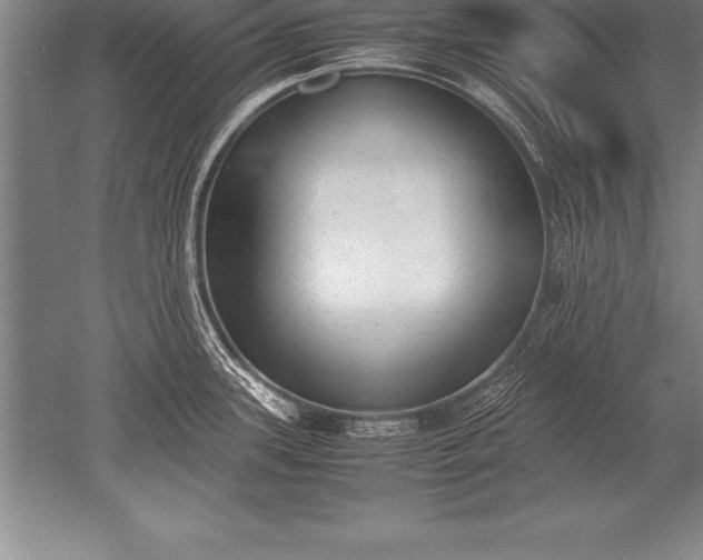 X0000052611339200507081836