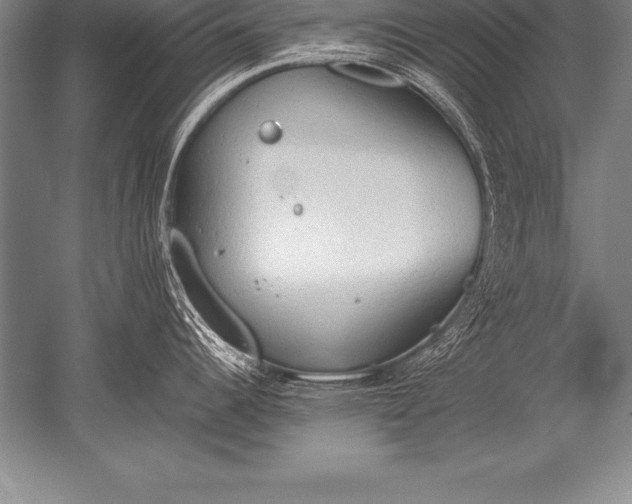 X0000052611344200507081836