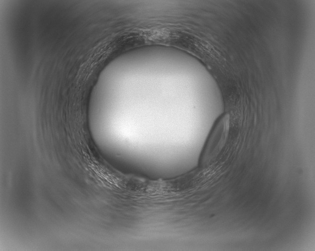 X0000052611345200507081836