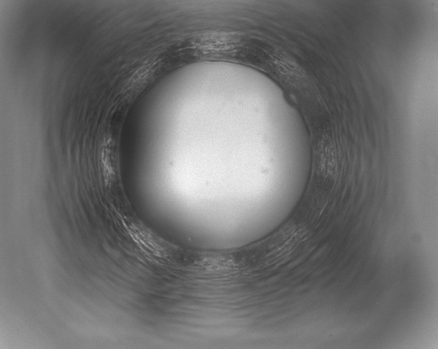 X0000052611346200507081836