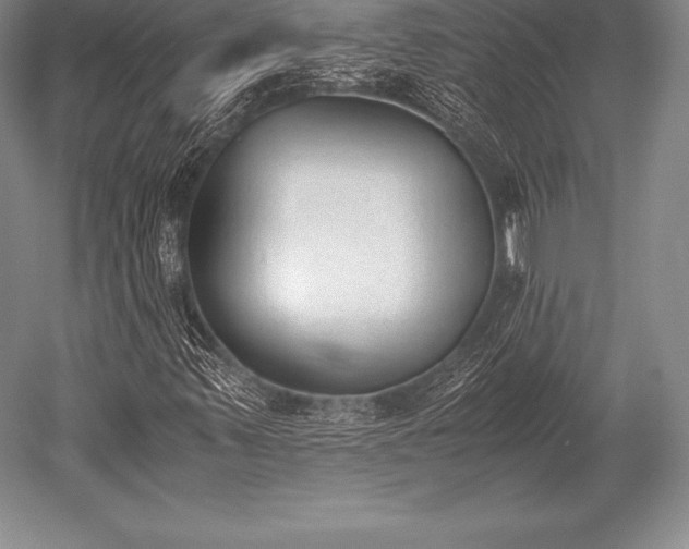 X0000052611347200507081836