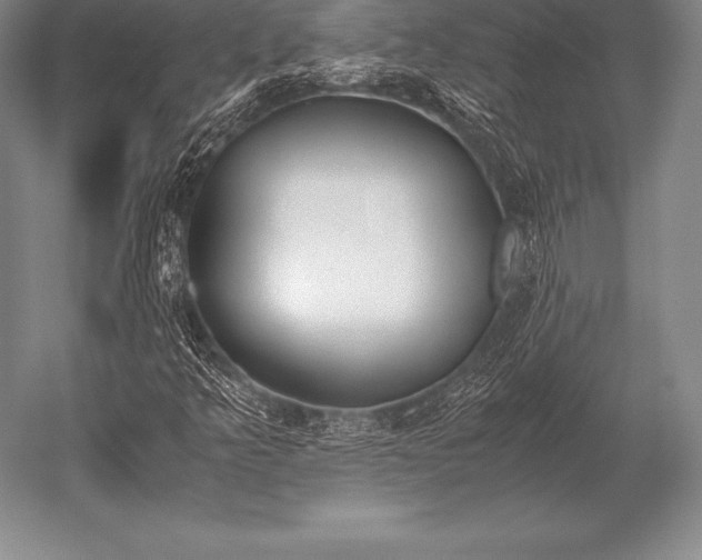 X0000052611349200507081836