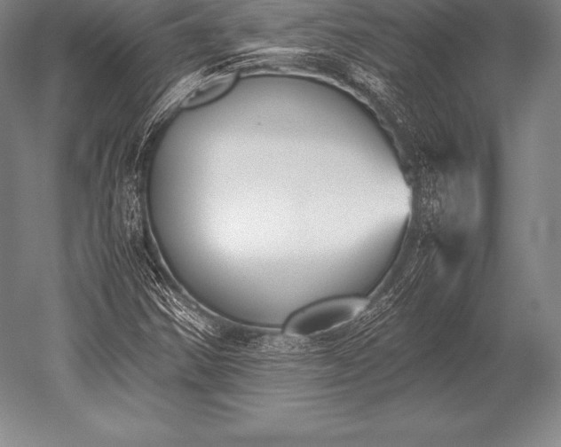 X0000052611354200507081835