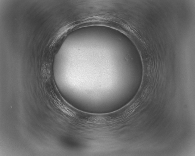 X0000052611355200507081835