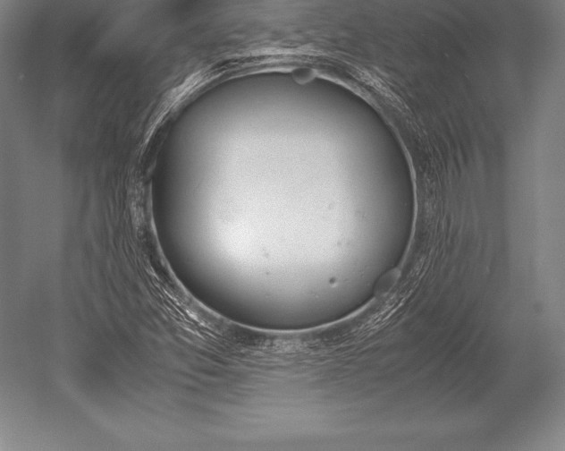 X0000052611357200507081835