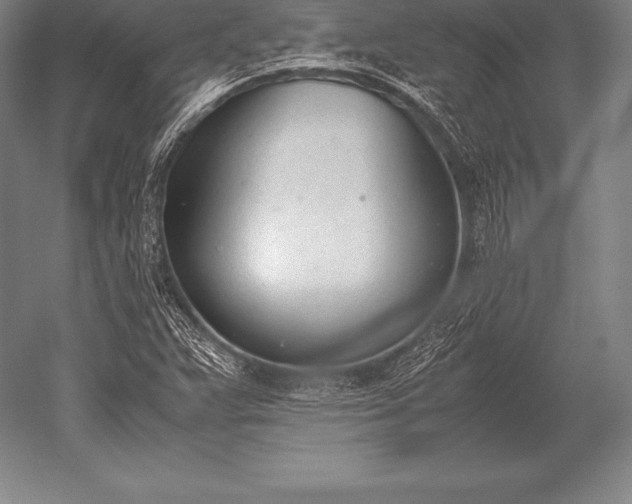 X0000052611359200507081835