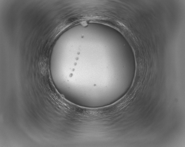 X0000052611361200507081835