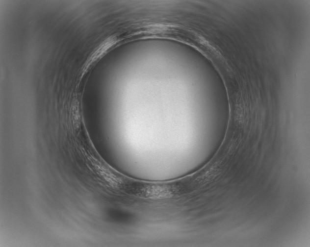 X0000052611362200507081835