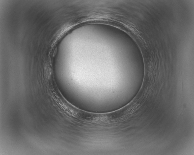 X0000052611363200507081835