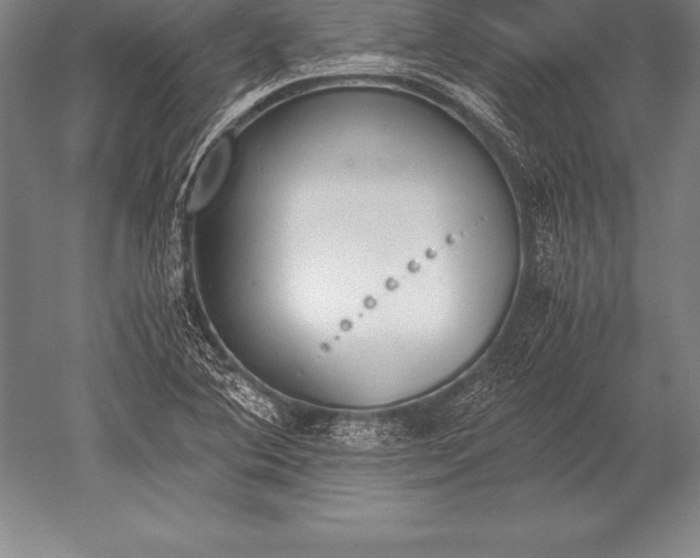 X0000052611364200507081835