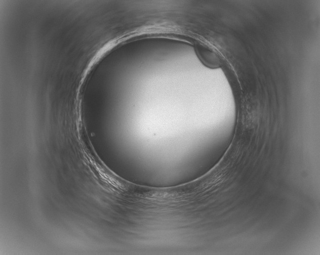 X0000052611366200507081835