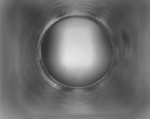 X0000052611371200507081835