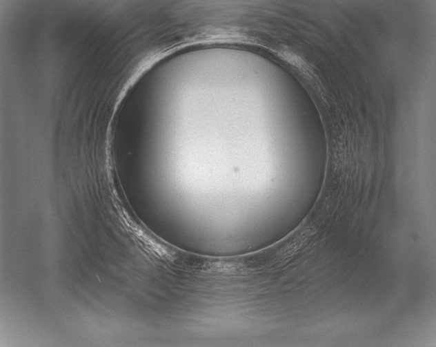 X0000052611374200507081835