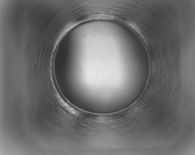 X0000052611379200507081835