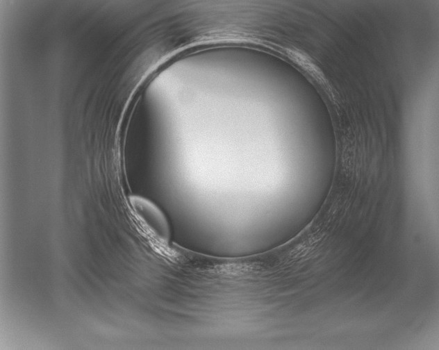 X0000052611380200507081835