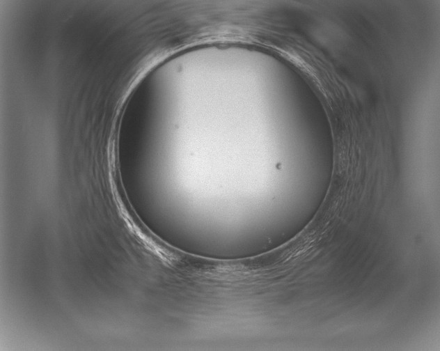 X0000052611383200507081835