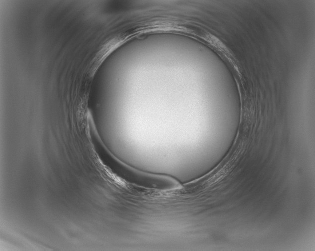 X0000052611385200507081835