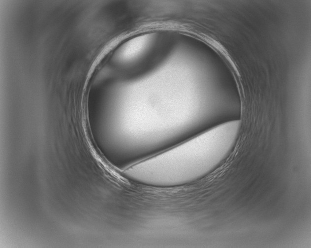 X0000052611389200507081835