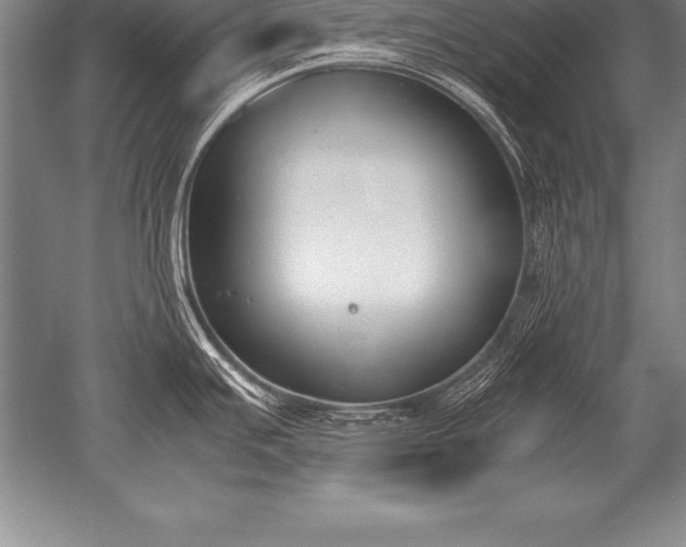 X0000052611391200507081835