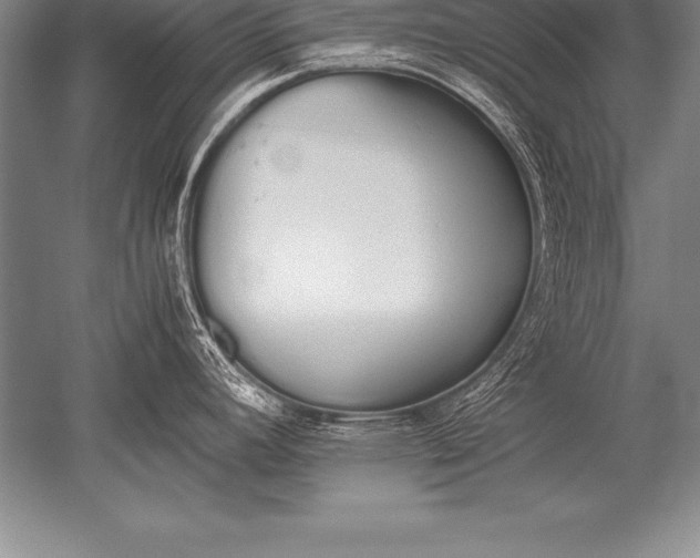 X0000052611392200507081835