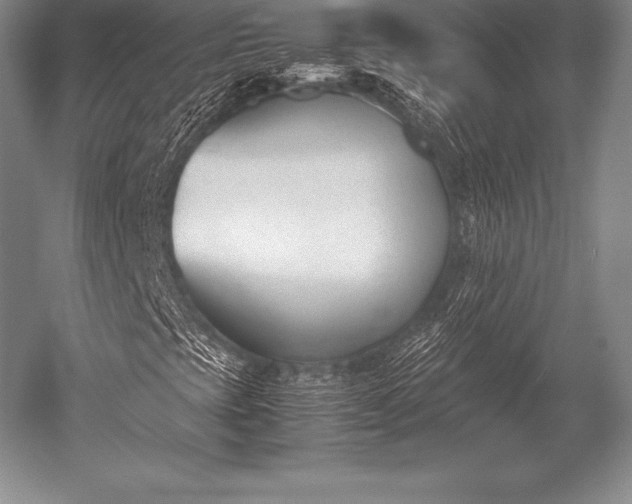 X0000052611393200507081834